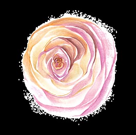 紫黃花圈透明裝飾素材
