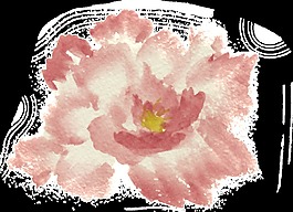 水漾花瓣透明裝飾素材
