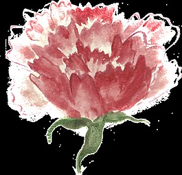展開(kāi)花束透明裝飾素材