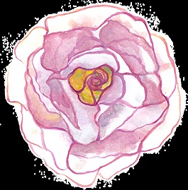 輝煌花蕊透明裝飾素材