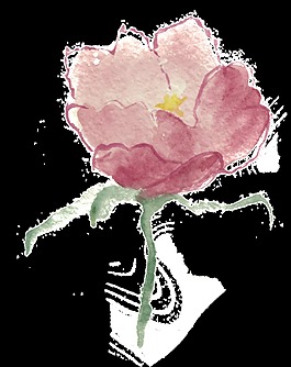 暗紫花葉透明裝飾素材