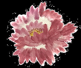 真红花朵透明装饰素材