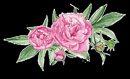 紫粉花蕊透明裝飾素材