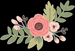 红心花蕊透明装饰素材