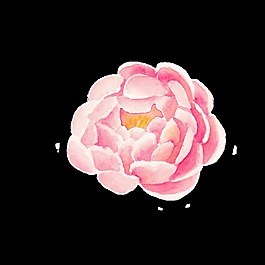 沁香花蕊透明装饰素材