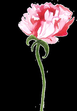 粉色花蕊透明裝飾素材