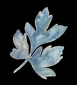 芬彩绿叶透明装饰素材