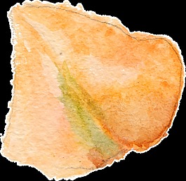 金黃花葉透明裝飾素材