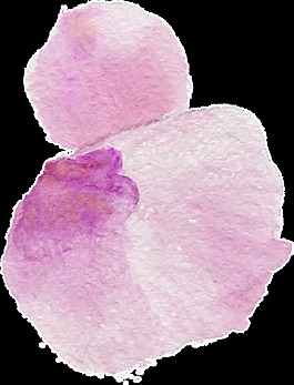 淡紫花瓣透明装饰素材