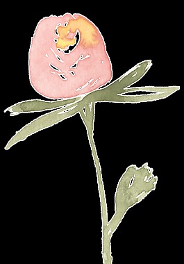 粉心玫瑰透明裝飾素材
