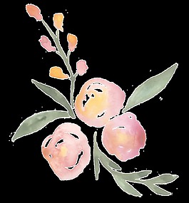 水晶花果透明裝飾素材
