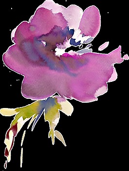 紫色盛開花卉透明裝飾素材