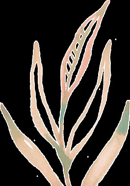 簡(jiǎn)單線條樹(shù)葉透明裝飾素材