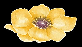 黃色碎花透明裝飾素材