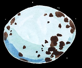 復(fù)活節(jié)氣氛彩蛋透明裝飾素材
