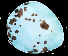 不規(guī)則藍(lán)色形狀透明裝飾素材