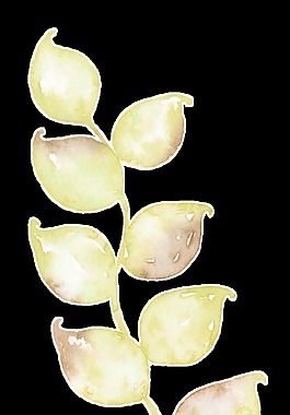 彩色渐变树枝透明装饰素材