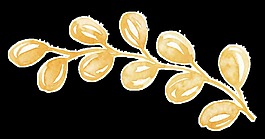 藝術(shù)色彩植物透明裝飾素材