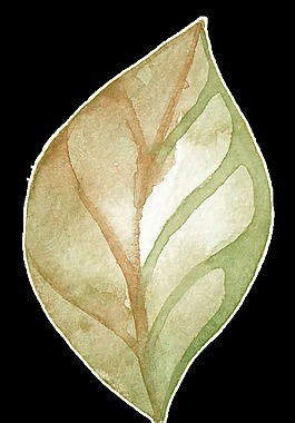 飄落樹葉透明裝飾素材