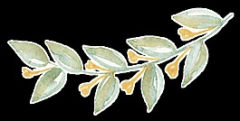 優(yōu)雅樹葉透明裝飾素材