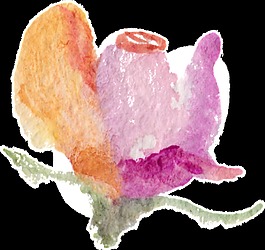 藝術(shù)繪畫(huà)花卉透明裝飾素材