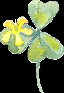 春季植物透明裝飾素材