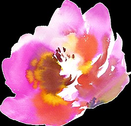 粉色系花朵透明裝飾素材