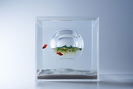 多彩透明生活用品產(chǎn)品設計JPG