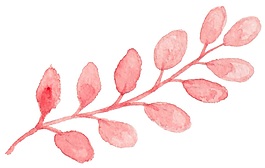 扁平花葉矢量素材