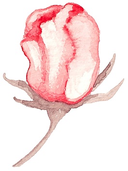 沁粉花蕊矢量素材
