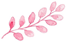 沁粉花葉矢量素材