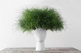 假發(fā)花瓶生活用品產(chǎn)品設(shè)計(jì)JPG