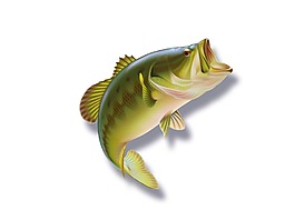 跳躍的飛魚元素