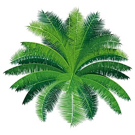 小清新綠色針葉元素