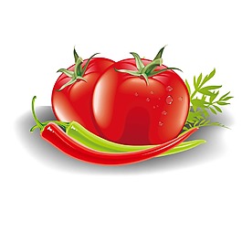 手繪蔬菜西紅柿元素