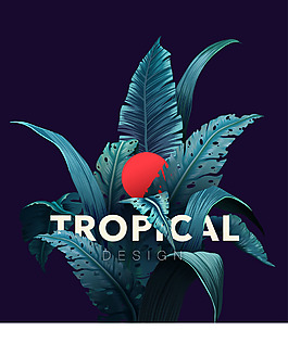 手繪熱帶植物插畫