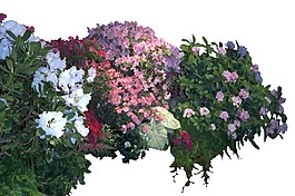 紫色花丛psd源文件