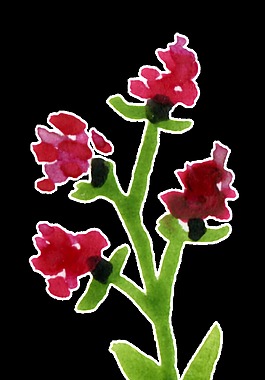 紛紫花蕊透明裝飾素材