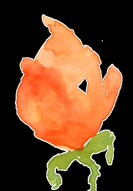 橙黃花蕊透明裝飾素材