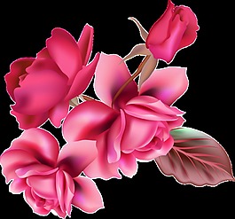 粉色花束透明裝飾素材