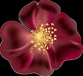 紅酒花瓣透明裝飾素材