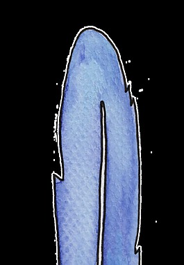 水藍羽毛透明裝飾素材