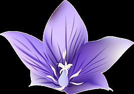 自信花瓣透明裝飾素材