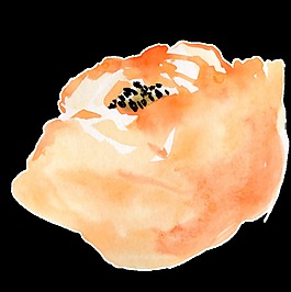 橙黃花蕊透明裝飾素材