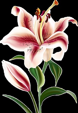 紅心花蕊透明裝飾素材