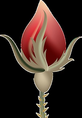 火紅花枝透明裝飾素材