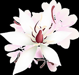 粉白花瓣透明裝飾素材