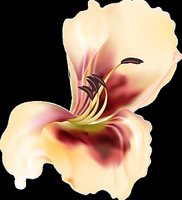 橙黃花朵透明裝飾素材