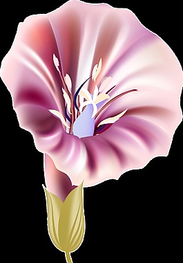 紫色喇叭花透明裝飾素材