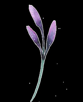 紫色花枝透明裝飾素材
